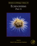 Culturing Echinoderm Larvae Through Metamorphosis