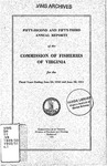 Fifty-Second and Fifty-Third Annual Reports of the Commission of Fisheries of Virginia (1951) by Commission of Fisheries of Virginia