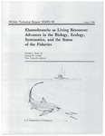 Early Life-History Implications of Selected Carcharhinoid and Lamnoid Sharks of the Northwest Atlantic by Steven Branstetter